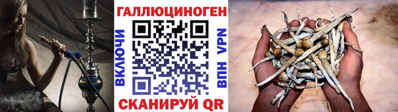 Галлюциногенные грибы Magic Shrooms  как найти наркотики  Салаир 